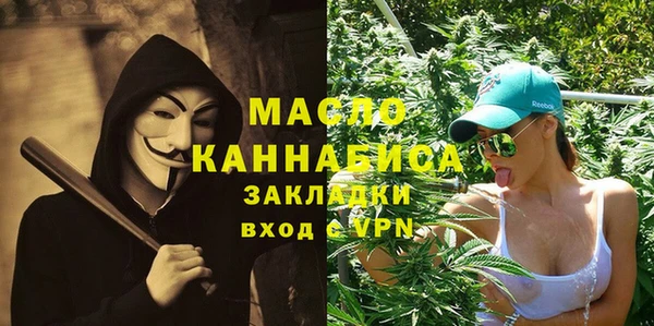 шишки Горняк