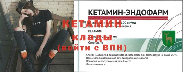 шишки Горняк