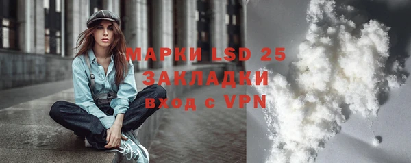 ГАЛЛЮЦИНОГЕННЫЕ ГРИБЫ Горно-Алтайск