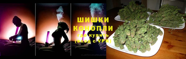 ГАЛЛЮЦИНОГЕННЫЕ ГРИБЫ Горно-Алтайск