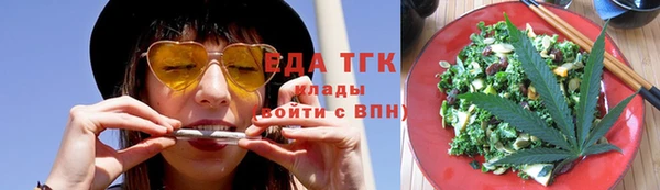 шишки Горняк