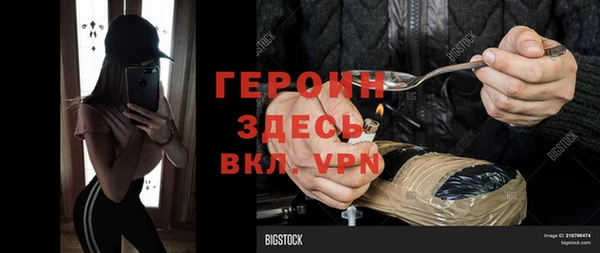 ГАЛЛЮЦИНОГЕННЫЕ ГРИБЫ Горно-Алтайск