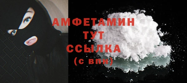 шишки Горняк