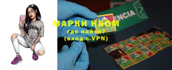 ГАЛЛЮЦИНОГЕННЫЕ ГРИБЫ Горно-Алтайск