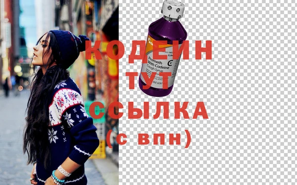 шишки Горняк