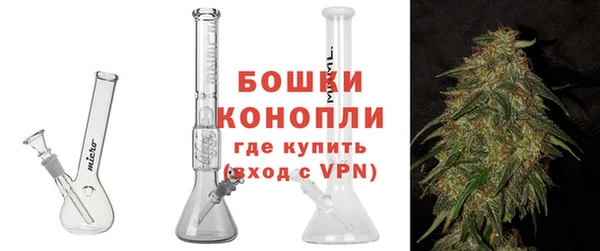 шишки Горняк