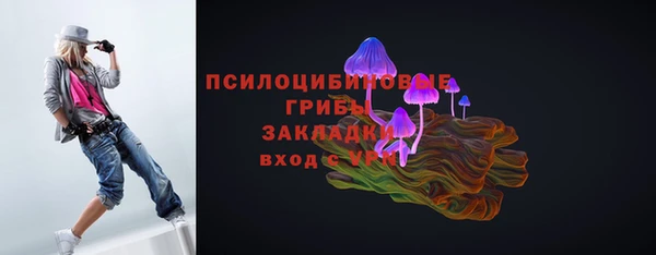 PSILOCYBIN Ельня