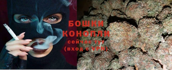 ГАЛЛЮЦИНОГЕННЫЕ ГРИБЫ Горно-Алтайск