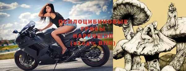 шишки Горняк