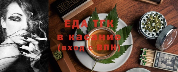 шишки Горняк