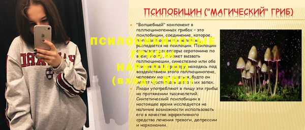 шишки Горняк