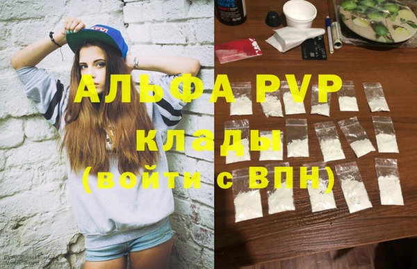 шишки Горняк