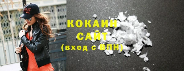 шишки Горняк