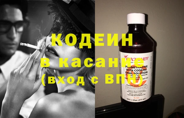 шишки Горняк