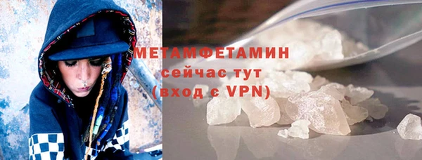шишки Горняк