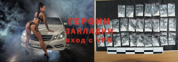 шишки Горняк