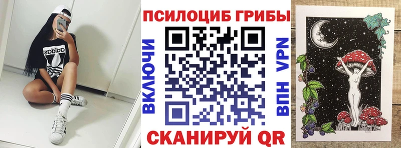 Псилоцибиновые грибы прущие грибы  Славянск-на-Кубани 